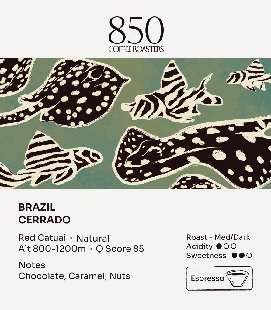Brazil Cerrado label card: origin, process, roast and tasting notes