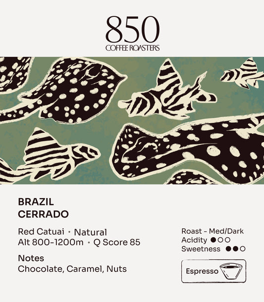 Brazil Cerrado label card: origin, process, roast and tasting notes