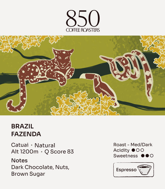 Brazil Fazenda label card: origin, process, roast and tasting notes