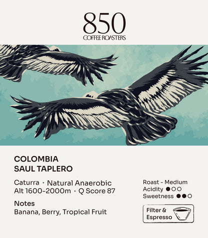 Colombia Saul Taplero