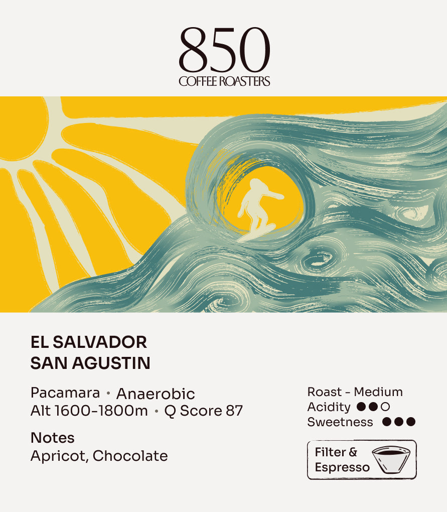 El Salvador San Agustin label card: origin, process, roast and tasting notes