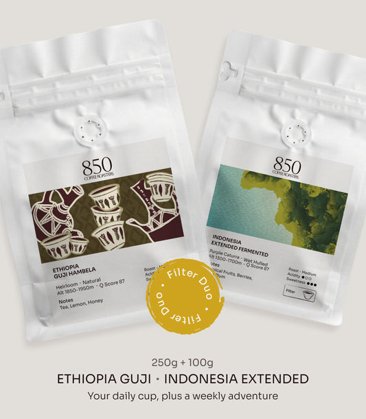 The Filter Duo: Guji + Indonesia