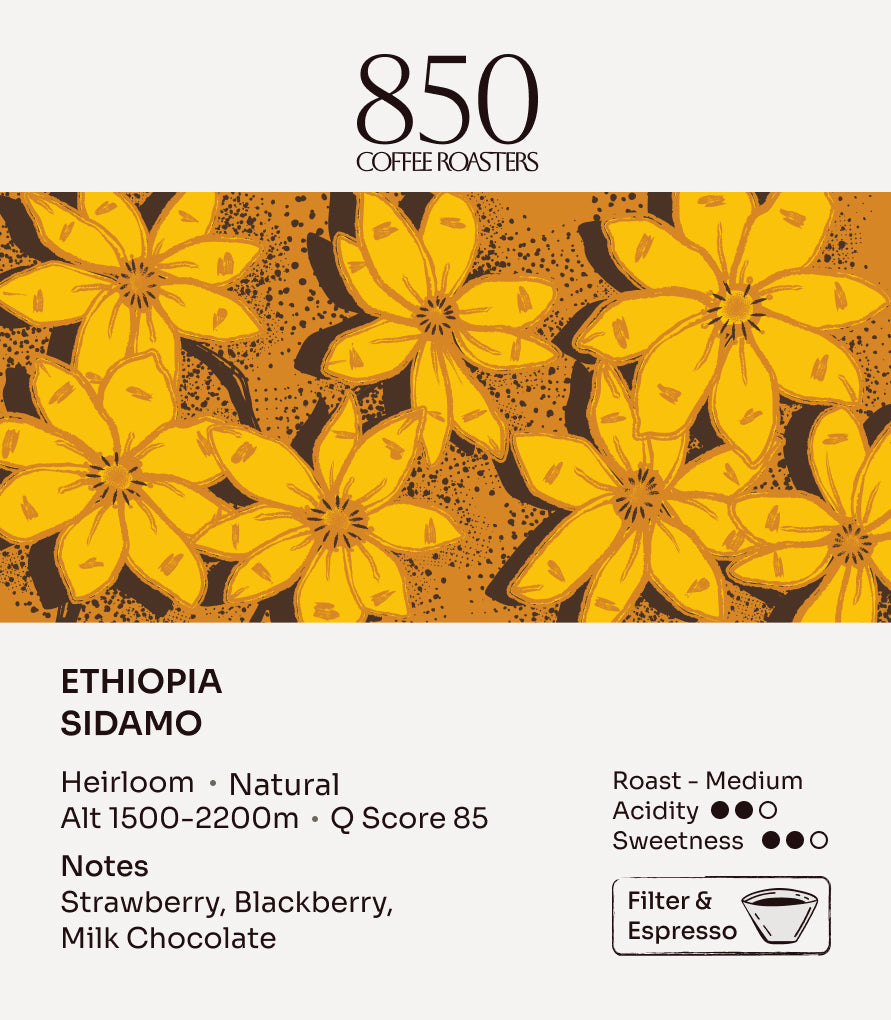 Ethiopia Sidamo label card: origin, process, roast and tasting notes