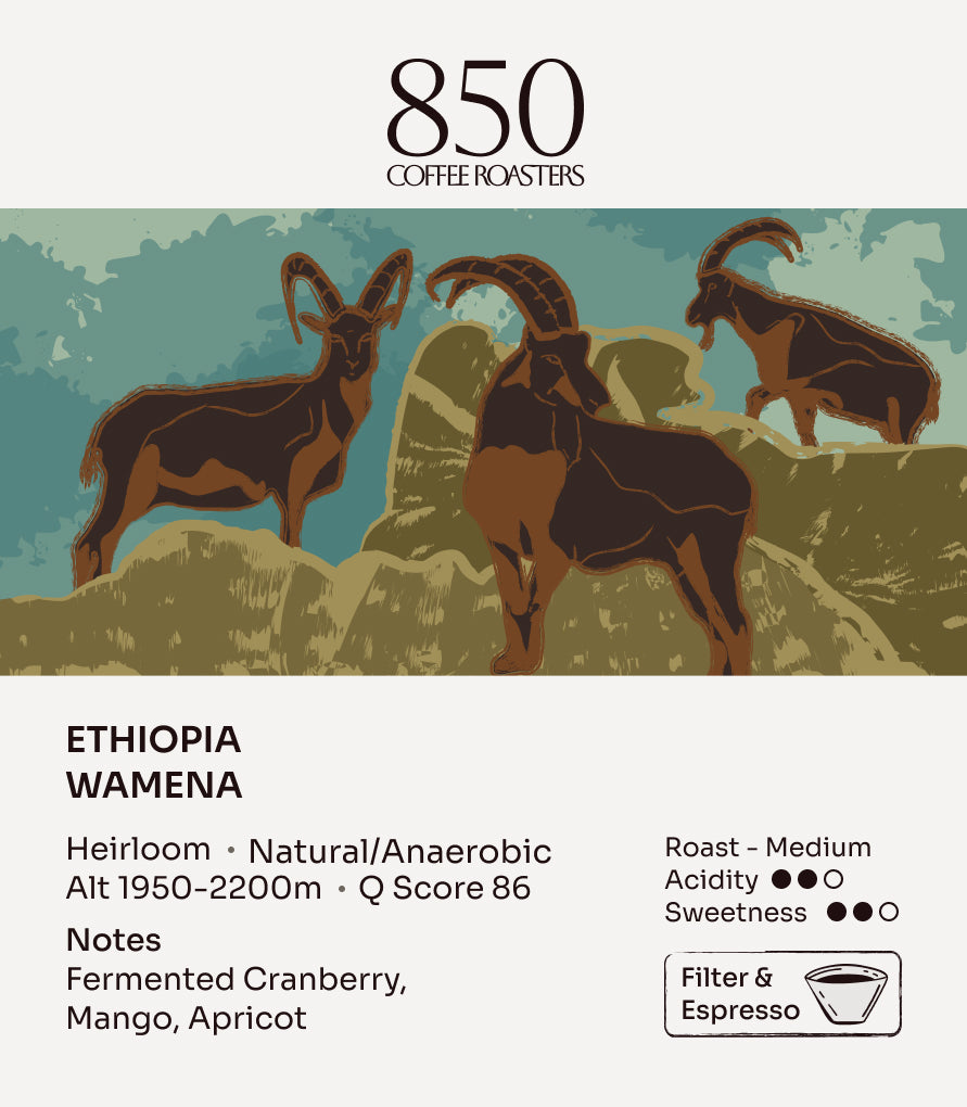 Ethiopia Wamena label card: origin, process, roast and tasting notes
