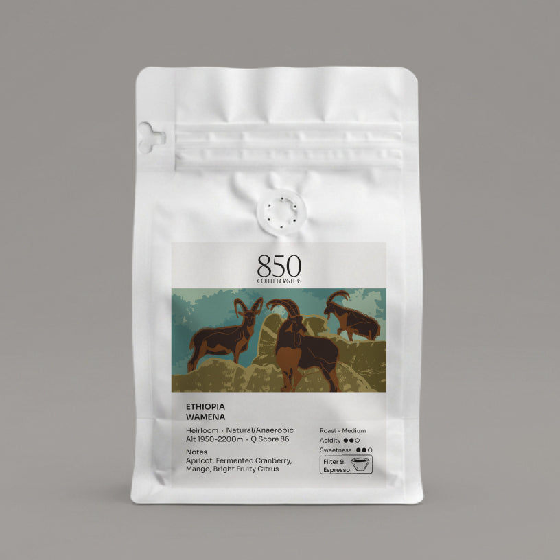 Ethiopia Wamena whole bean coffee in a white 850 Coffee Roasters bag