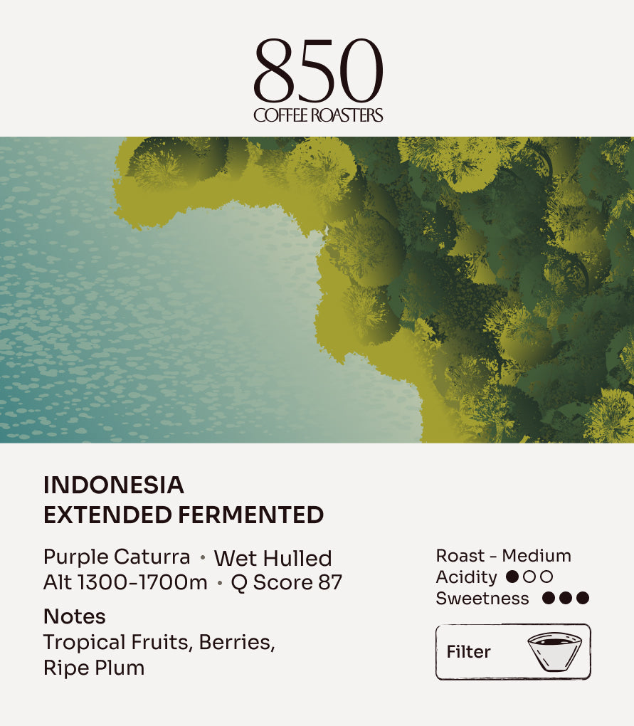 Indonesia Extended Fermented label card, part of the Indonesia Fermented Pair