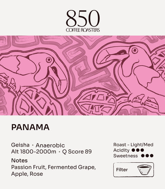 Panama Geisha label card: origin, process, roast and tasting notes